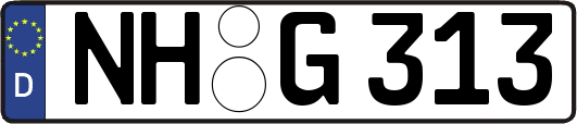 NH-G313