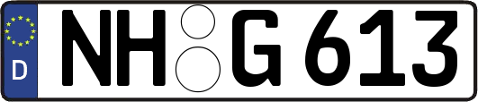 NH-G613