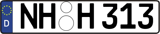 NH-H313