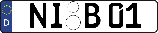 NI-B01