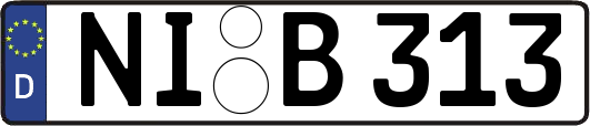 NI-B313