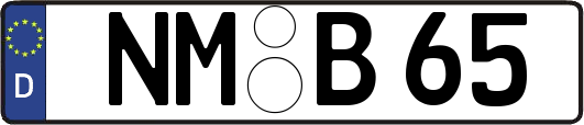 NM-B65