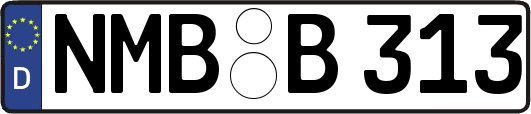 NMB-B313