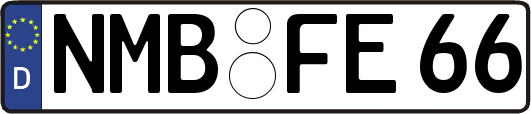 NMB-FE66