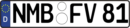NMB-FV81