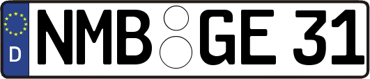 NMB-GE31