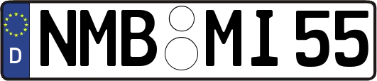 NMB-MI55