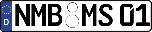 NMB-MS01