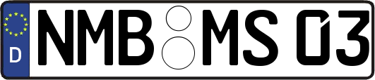 NMB-MS03