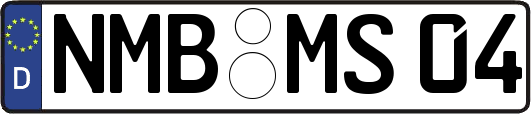 NMB-MS04