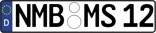 NMB-MS12