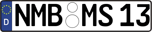NMB-MS13