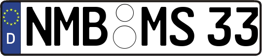 NMB-MS33