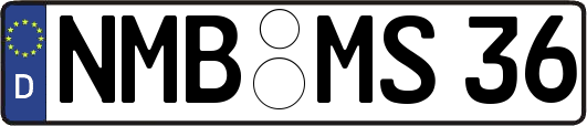 NMB-MS36