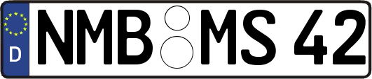 NMB-MS42