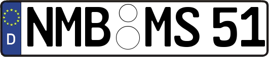 NMB-MS51