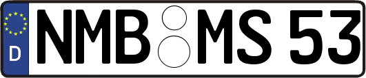 NMB-MS53