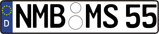 NMB-MS55