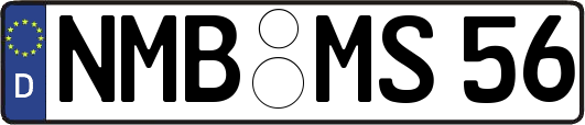 NMB-MS56