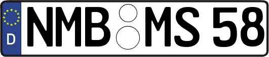NMB-MS58