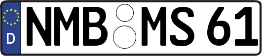 NMB-MS61