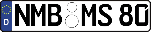 NMB-MS80