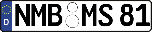 NMB-MS81