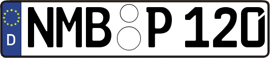 NMB-P120