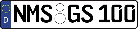 NMS-GS100