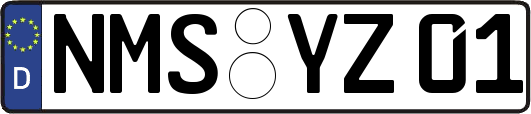 NMS-YZ01