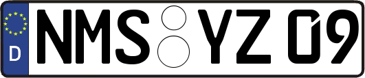 NMS-YZ09