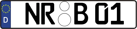 NR-B01