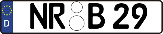 NR-B29