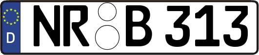 NR-B313