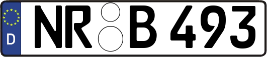 NR-B493