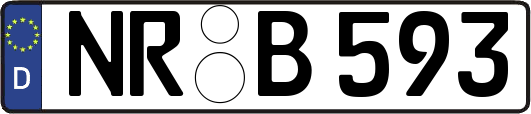 NR-B593