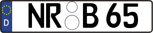 NR-B65