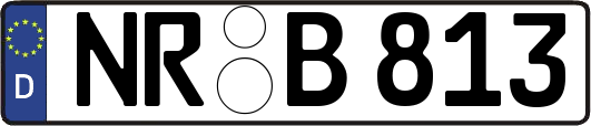 NR-B813