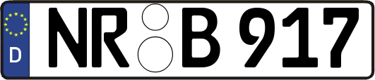 NR-B917