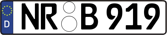 NR-B919