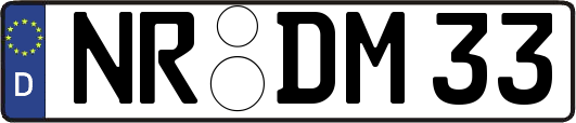 NR-DM33