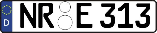 NR-E313