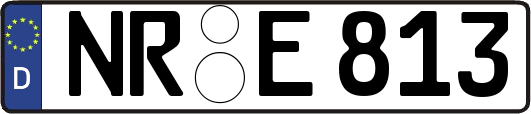 NR-E813