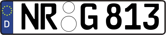 NR-G813