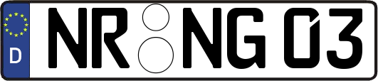 NR-NG03