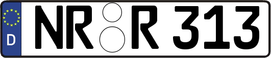 NR-R313
