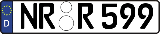 NR-R599