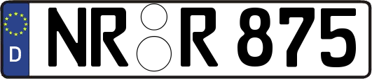 NR-R875