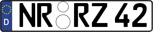 NR-RZ42