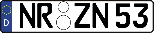 NR-ZN53